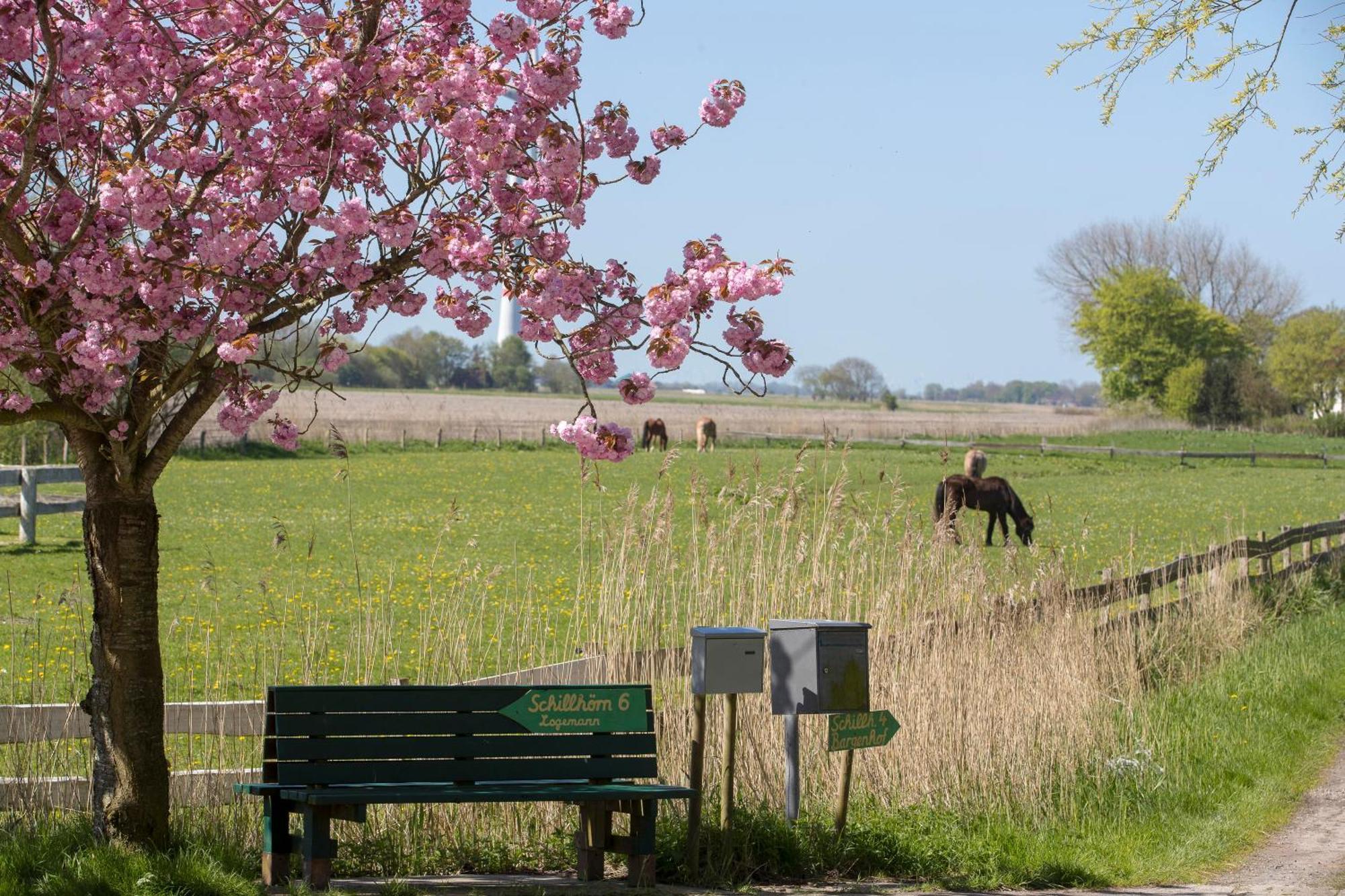Fischerhaeuschen Am Kurpark Neuharlingersiel Extérieur photo